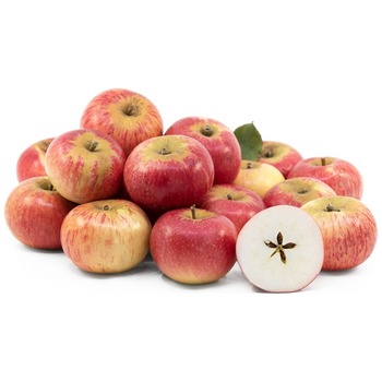 DISCOVERY APPLE