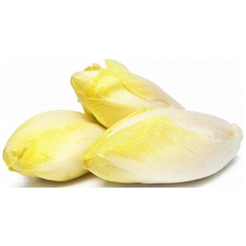 ENDIVE