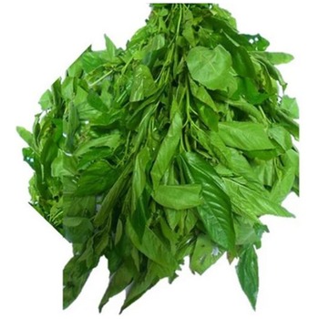 EWEDU LEAVES (JUTE - MOLOKHIA-MOLAYA)