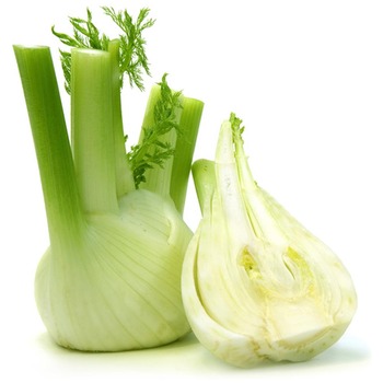 FENNEL