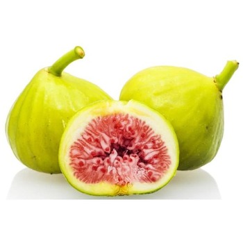 FIGS X14