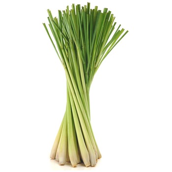 FRESH LEMON GRASS