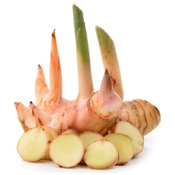 GALANGAL BUNCH (THAI GINGER) GLANAGAL