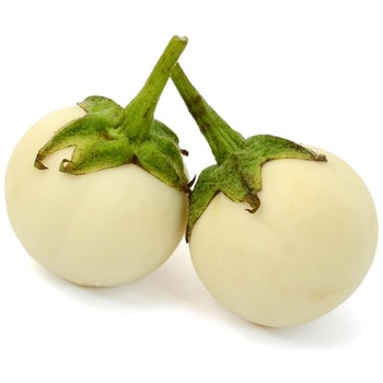 GARDEN EGG