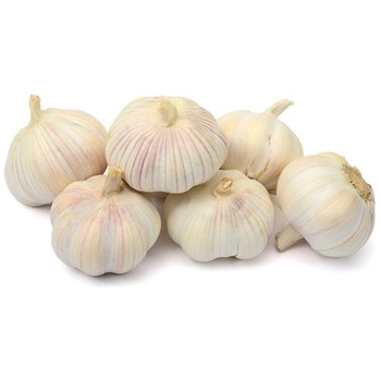 GARLIC LOOSE