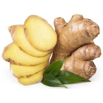 GINGER