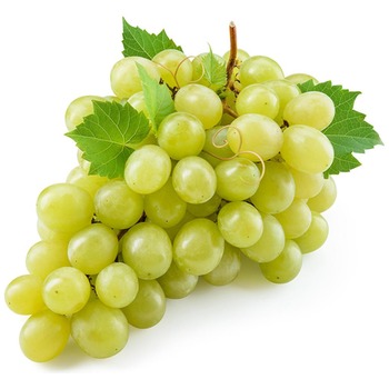 GRAPES WHITE SEEDLES
