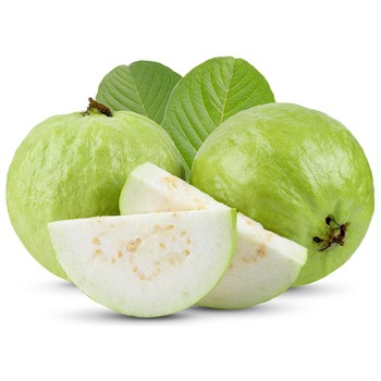 GUAVA