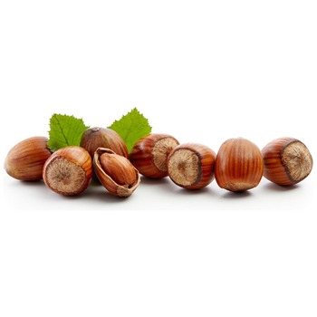 HAZELNUTS NET