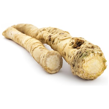 HORSERADISH