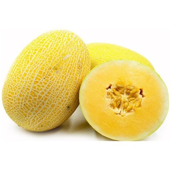 IRANIAN GALIA MELON