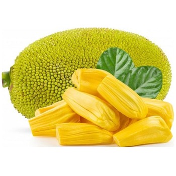 JACK FRUIT