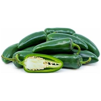 JALAPONE CHILLI PEPPER