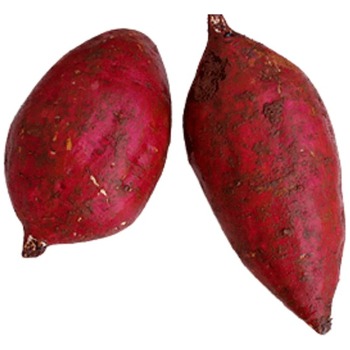 JAMAICA SWEET POTATO