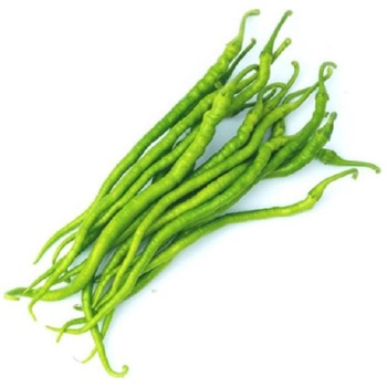 KIL SIVRI PEPPER
