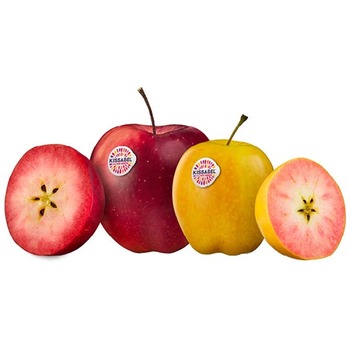 KISSABEL APPLE