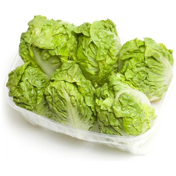 LITTLE GEM LETTUCE