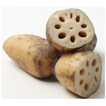 LOTUS ROOT