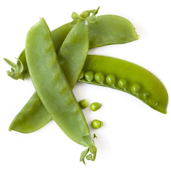 MANGE TOUT BEANS P.P