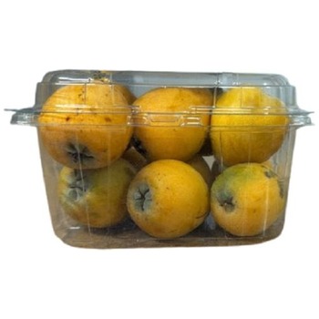 MEDLESS MEDLAR P.P