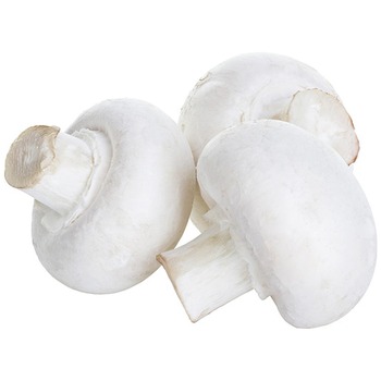 MUSHROOM