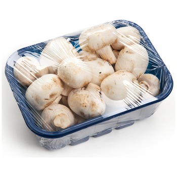 MUSHROOM P.P