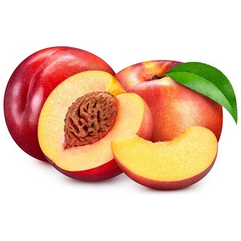 NECTARINE