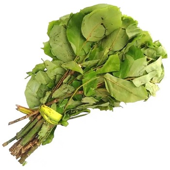 OHA LEAVES (OHO)