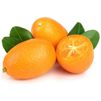 ORANGE SMALL KUMQUAT