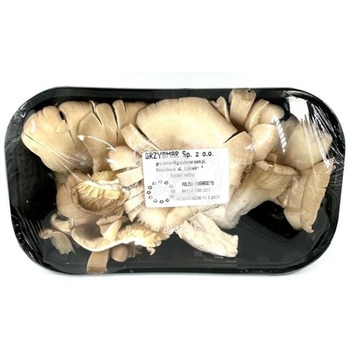 OYSTER MUSHROOM P.P