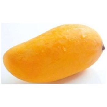 MANGO PAKISTANI LARGE