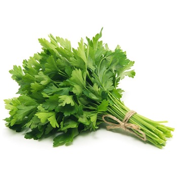PARSLEY