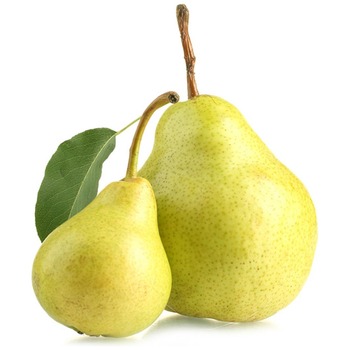 PEAR P.P