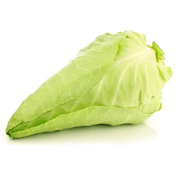 POINTED CABBAGE (HISPI)