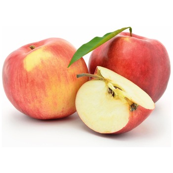 POLISH APPLE (JANAGOLD)