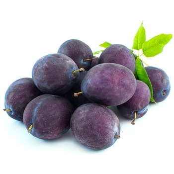 PRESIDENT PLUM