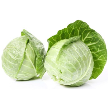 PRIMO CABBAGE (GREEN CABBAGE-BAXTER)