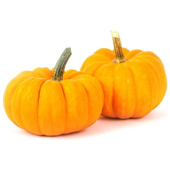 PUMPKIN