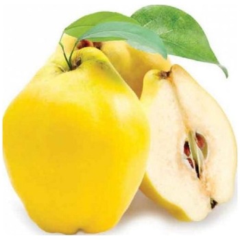 QUINCE FRUIT