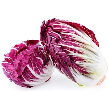 RADICCHIO LETTUCE