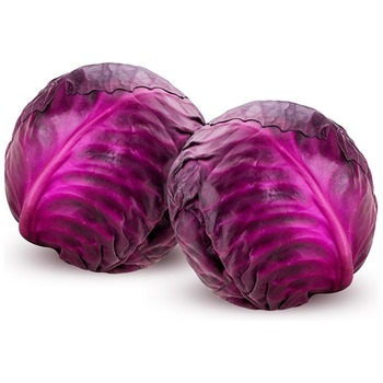 RED CABBAGE