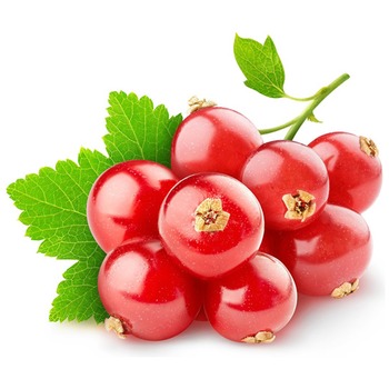 RED CURRANT