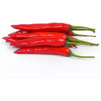 RED DUTCH CHILLIES