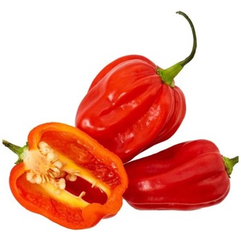 RED HOT PEPPER ROUND CHILLIES
