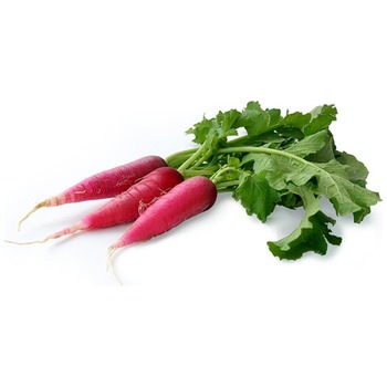 RED MOOLI