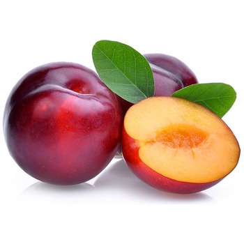 RED PLUM