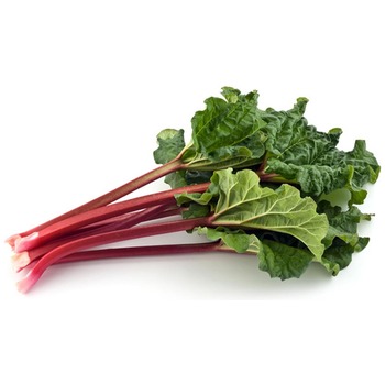 RED RUBARB (RHUBARB)
