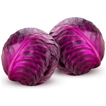 RED SMALL CABBAGE