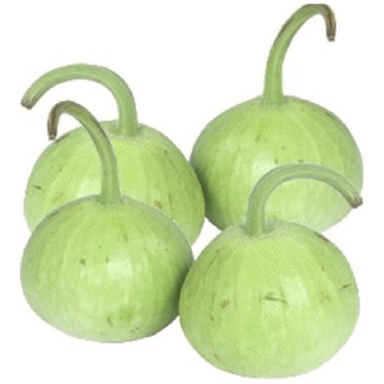 ROUND DUDHI