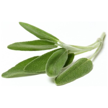 SAGE